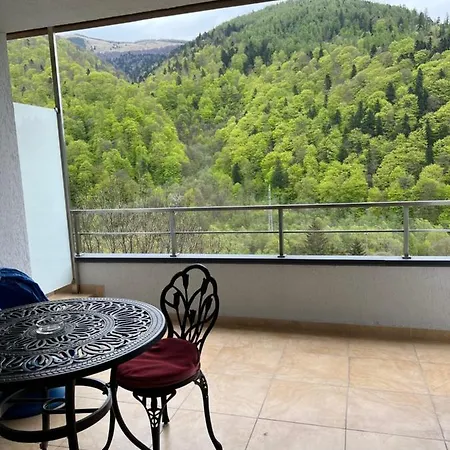 Apartment Serenum Sinaia